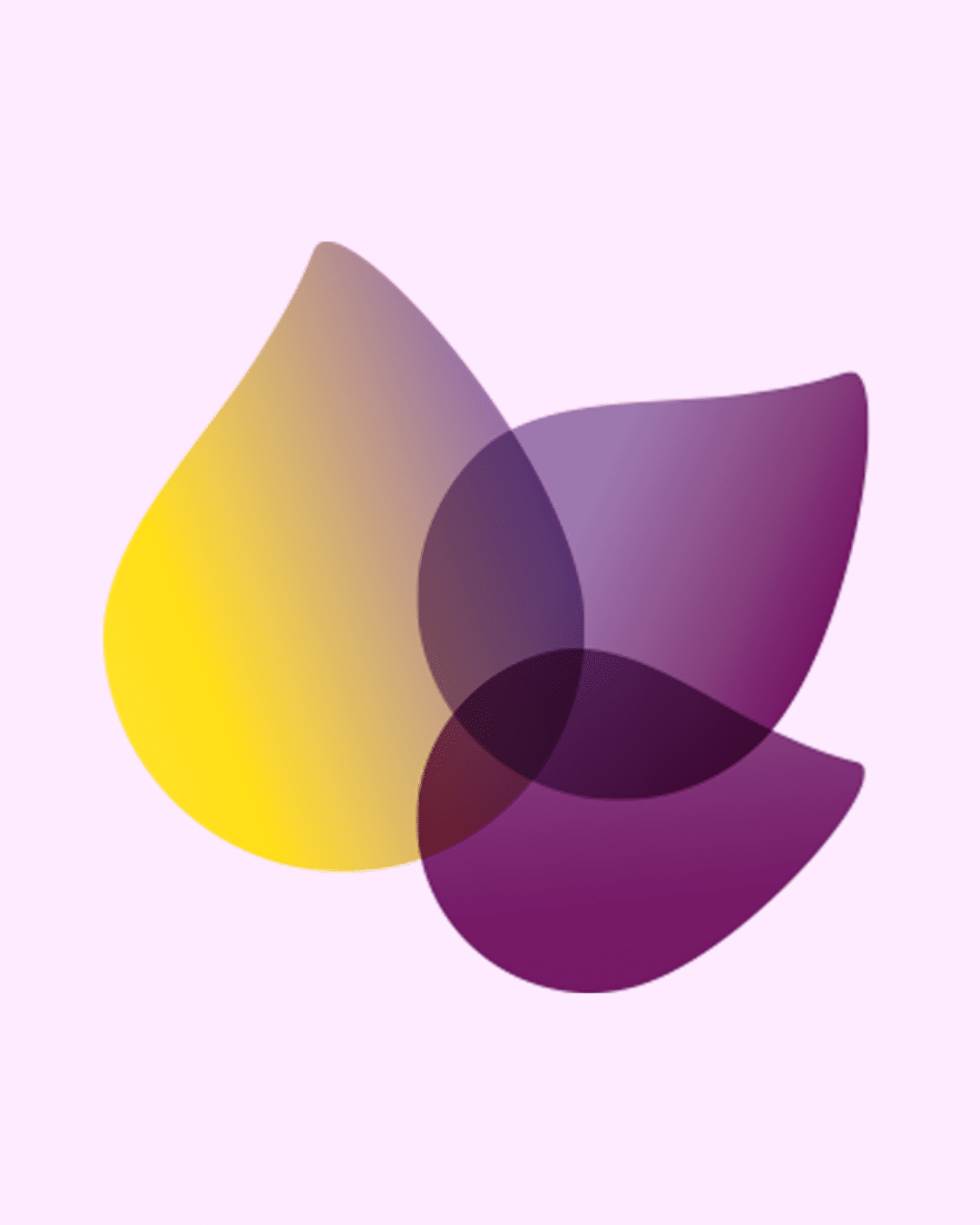 Untitled design 14