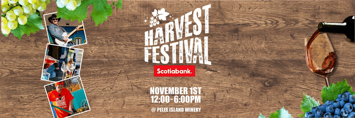 Harvest Fest Event Header