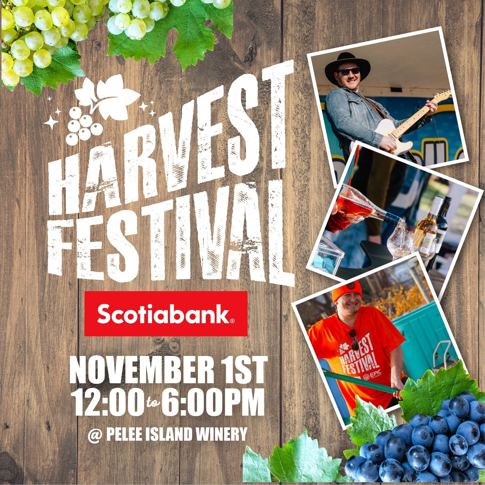 Harvest Fest Flyer